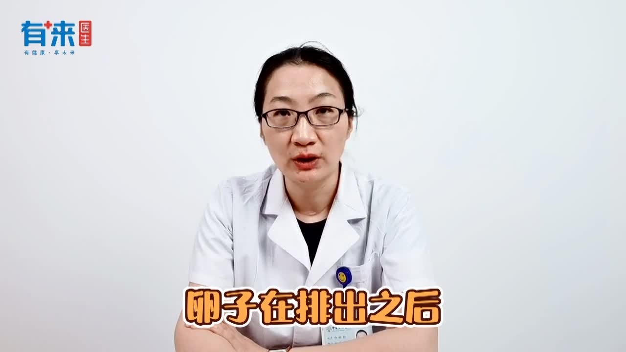 女性排卵排出來的樣子是怎樣的有圖片嗎